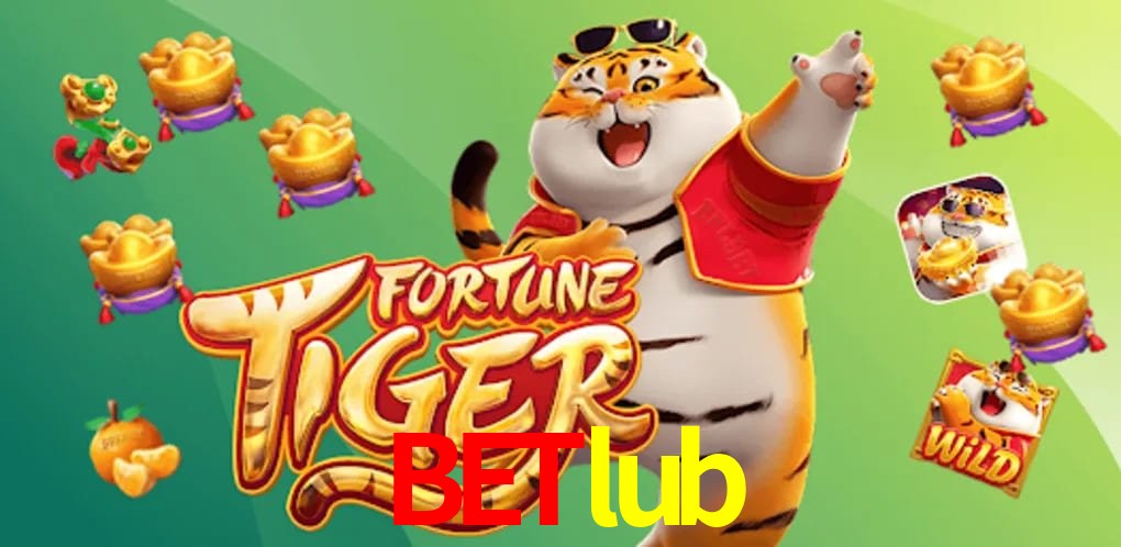 Experiência VIP betlub